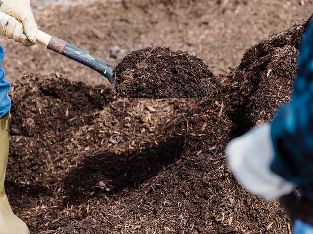 Iemand graaft met een schop in tuinaarde